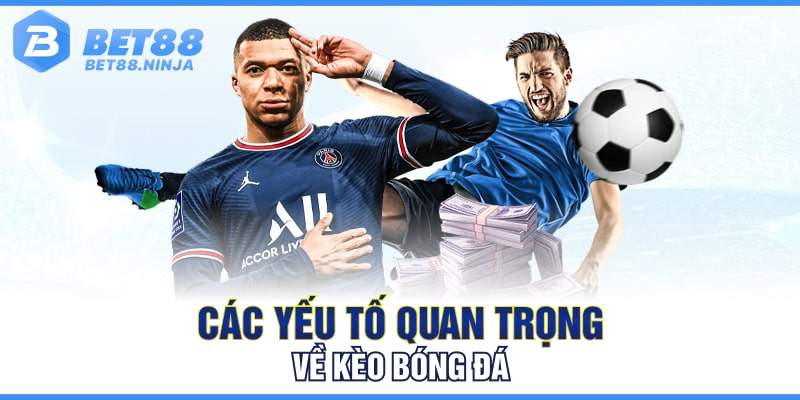 Các yếu tố quan trọng về kèo bóng đá